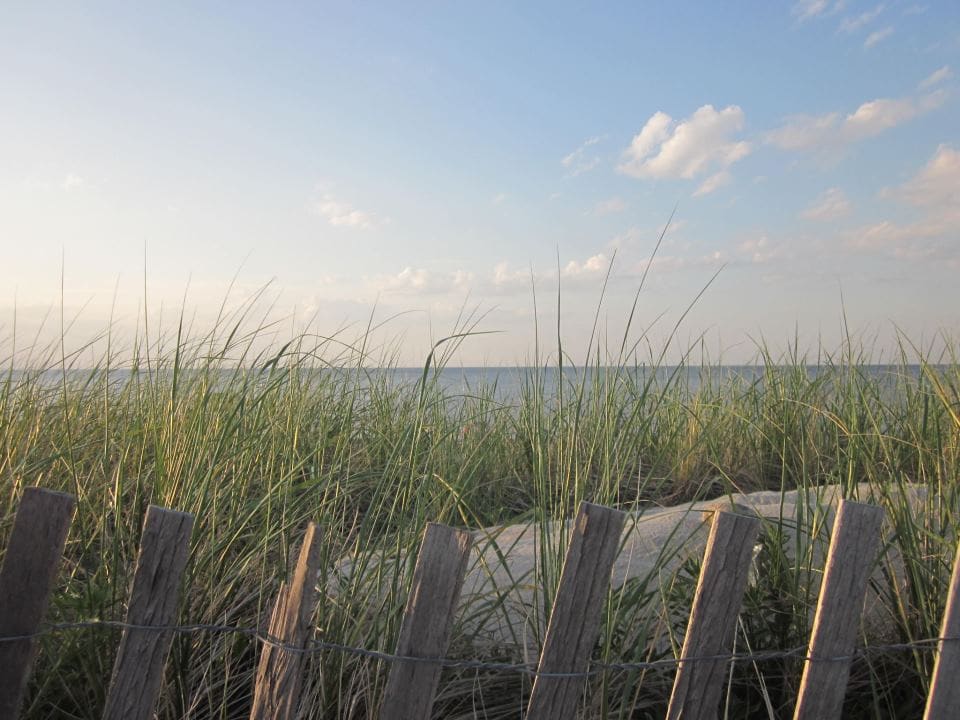 Beach View with Sea Grass